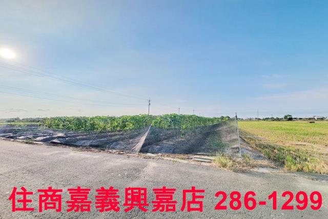 嘉義農地-7