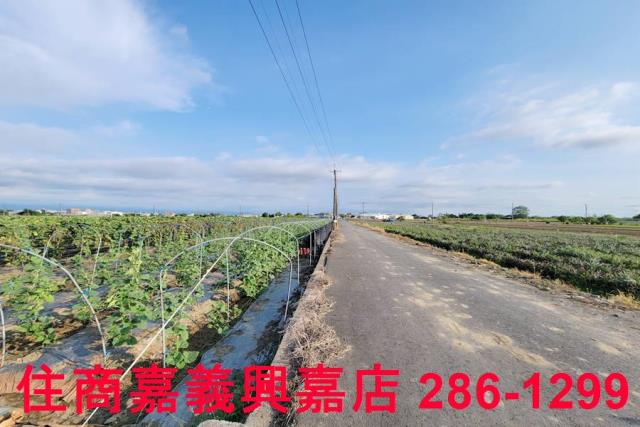 嘉義農地-8