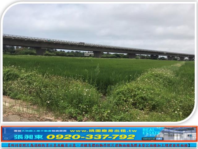 桃園農地-2