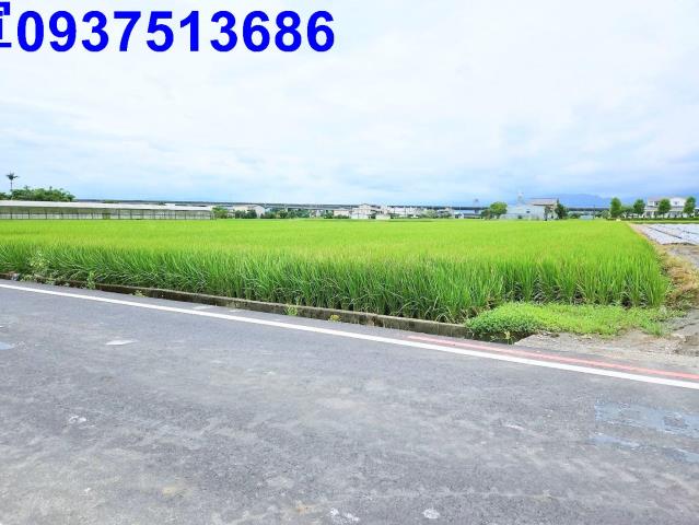 宜蘭農地-15