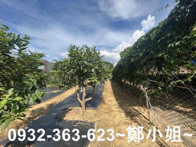 桃園八德農地-6