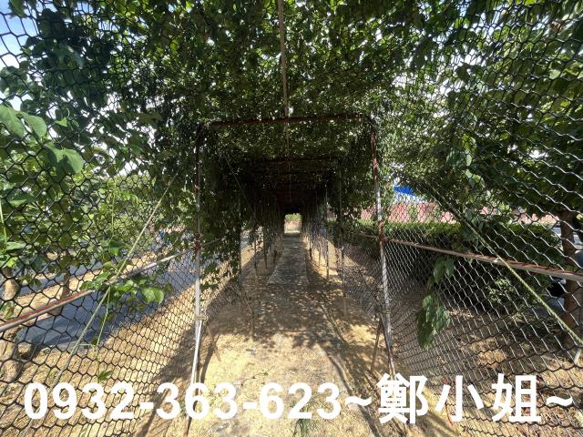 桃園八德農地-7