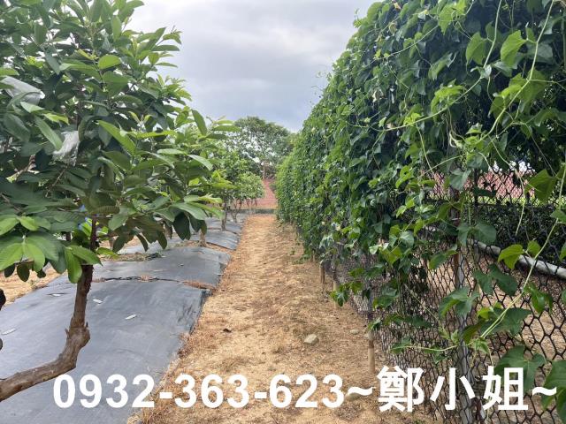 桃園八德農地-8