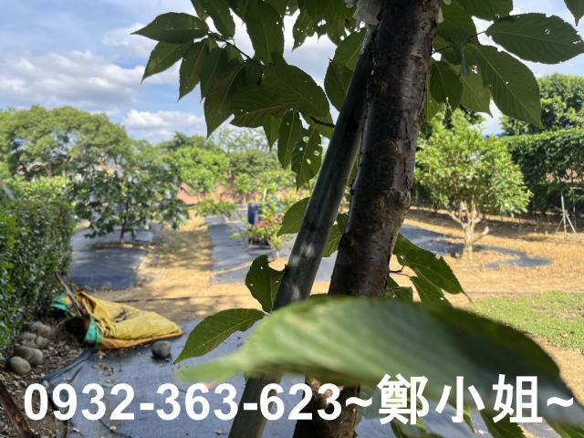 桃園八德農地-2
