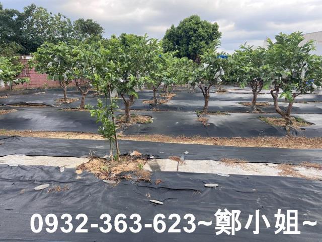 桃園八德農地-9