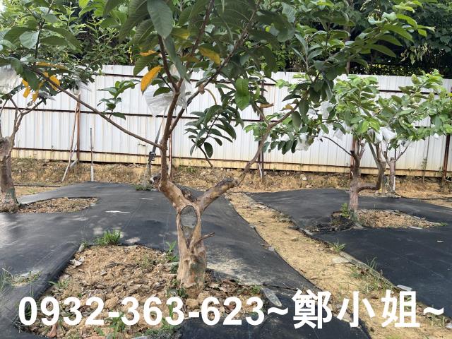 桃園八德農地-3
