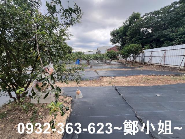 桃園八德農地-12