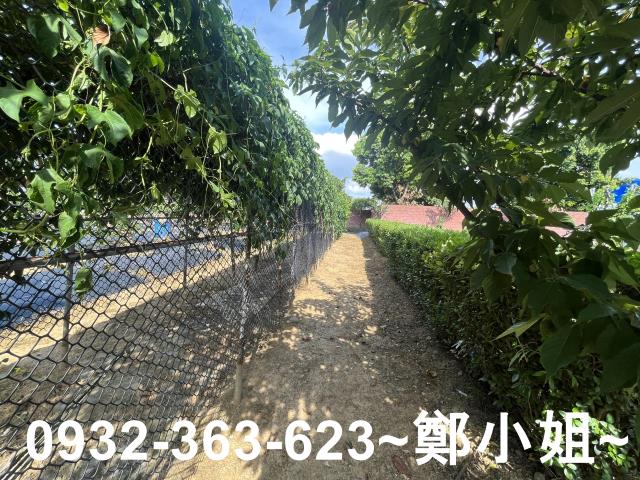 桃園八德農地-4