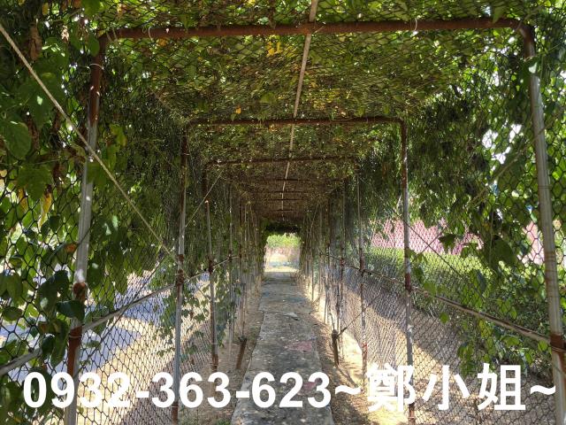 桃園八德農地-5