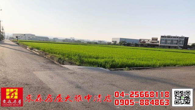 台中大雅農地-1