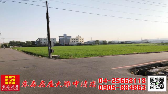 台中大雅農地-3
