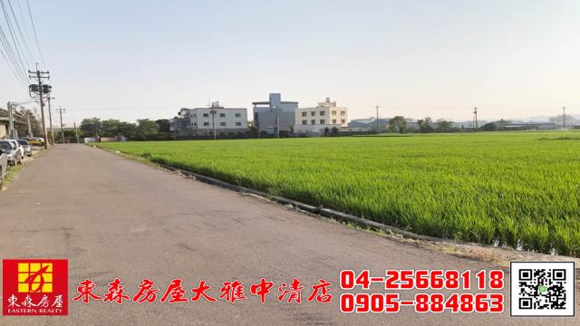 台中大雅農地-4