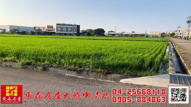 台中大雅農地-5