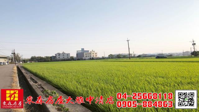 台中大雅農地-6