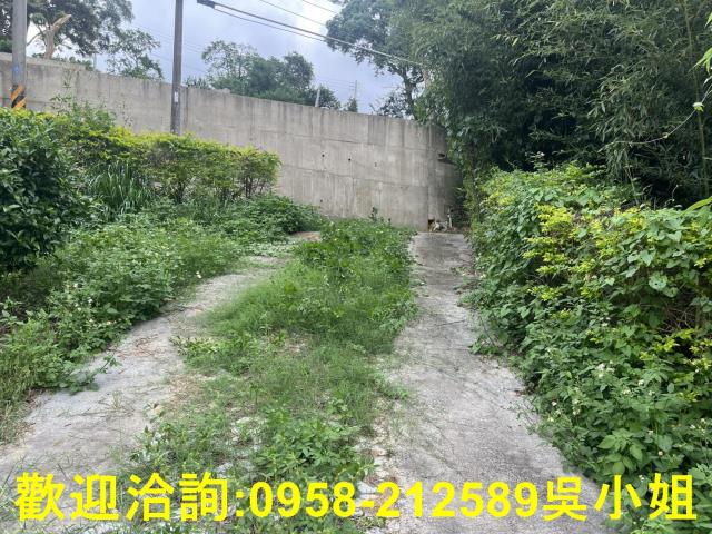 新竹新埔山坡地-10