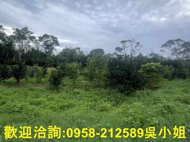 新竹新埔山坡地-6