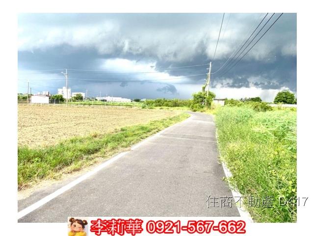 台南仁德農地-7