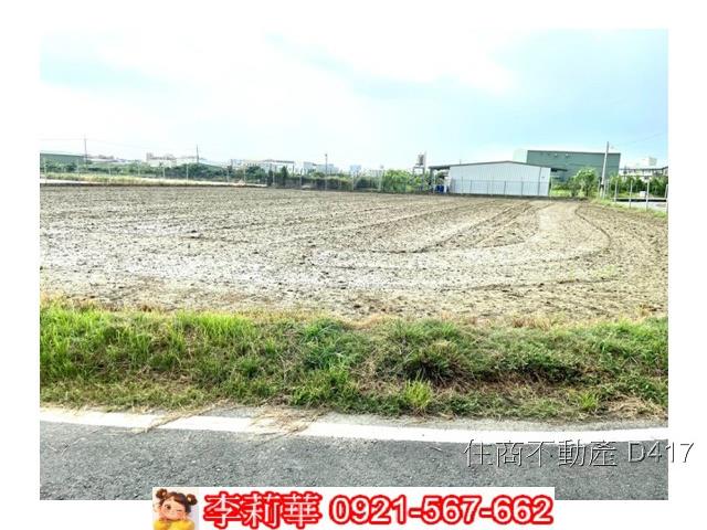 台南仁德農地-8