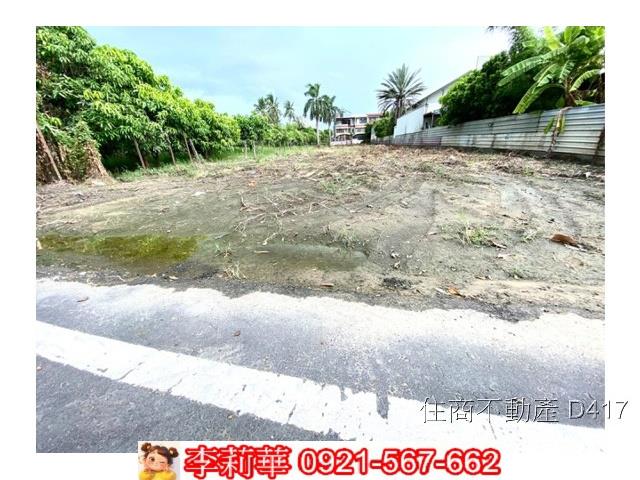 台南仁德農地-9