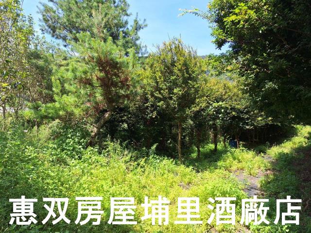 埔里農地-1
