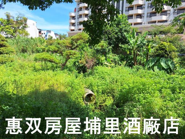 埔里農地-2