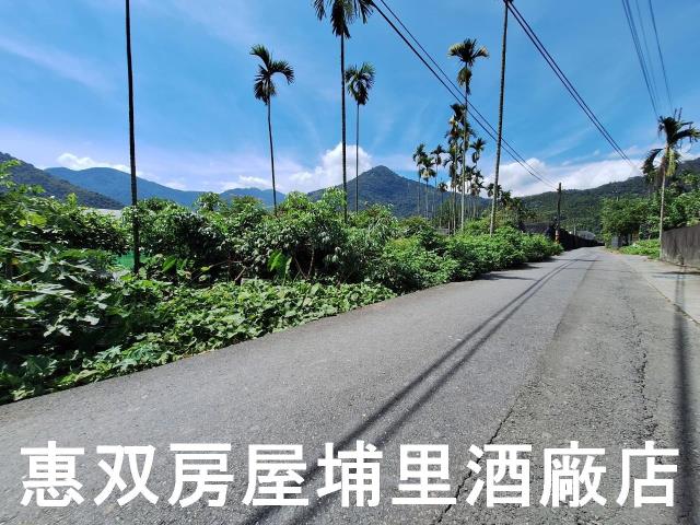 埔里農地-5