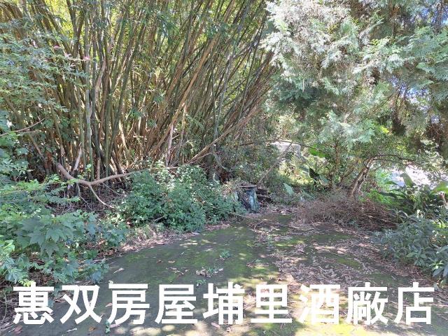 魚池農地-1