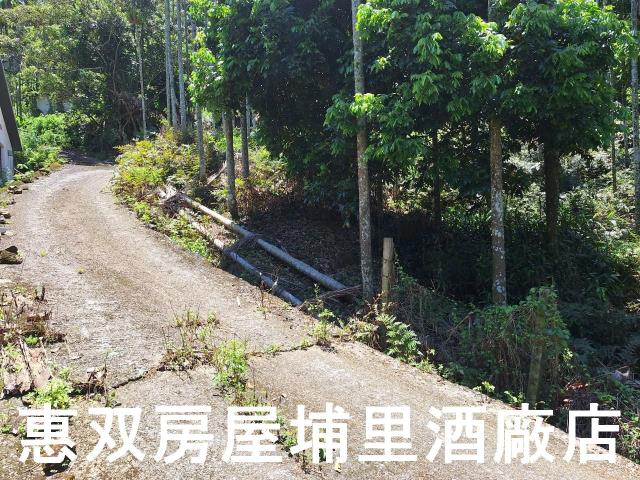 魚池農地-2