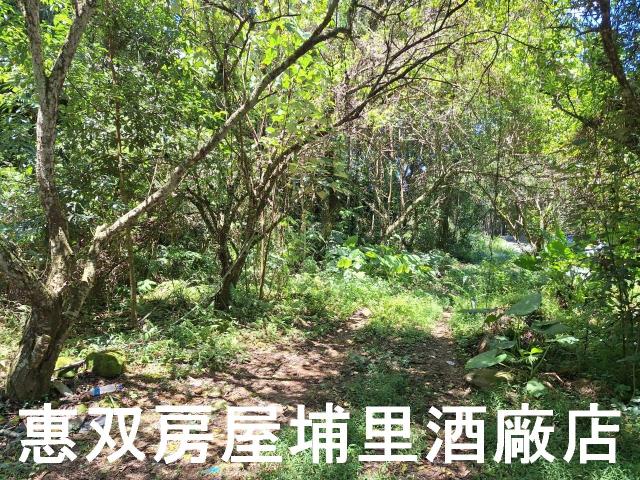 魚池農地-4