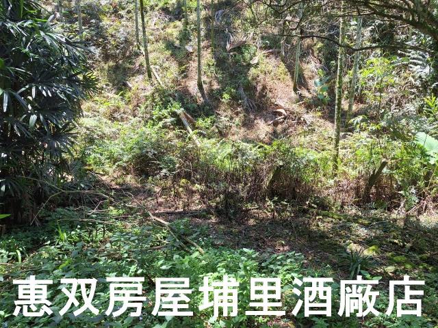 魚池農地-5