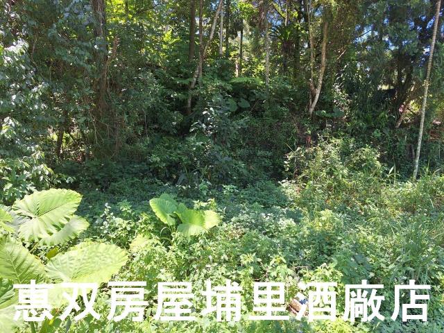 魚池農地-8