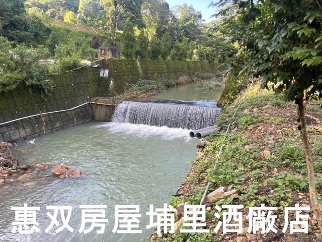 埔里農地-1