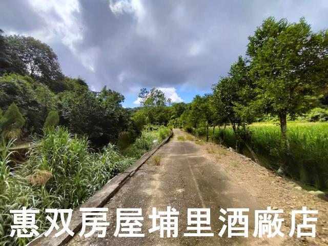 埔里農地-2