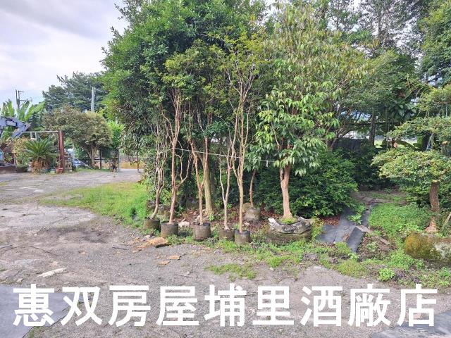 埔里農地-1