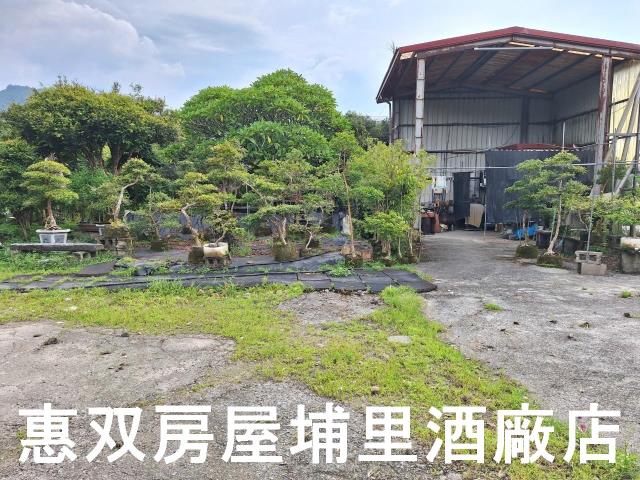埔里農地-2