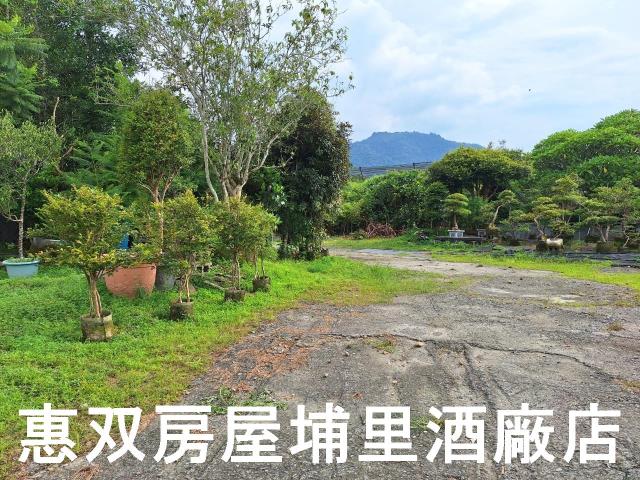埔里農地-4