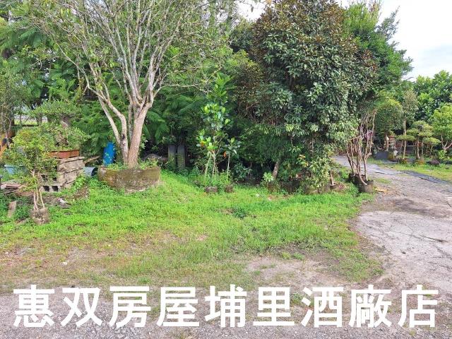 埔里農地-6