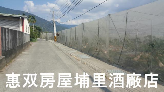 埔里農地-1