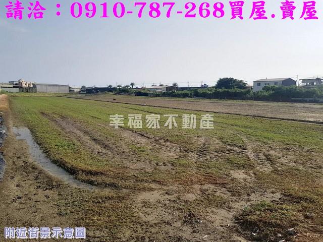 安南農地-12