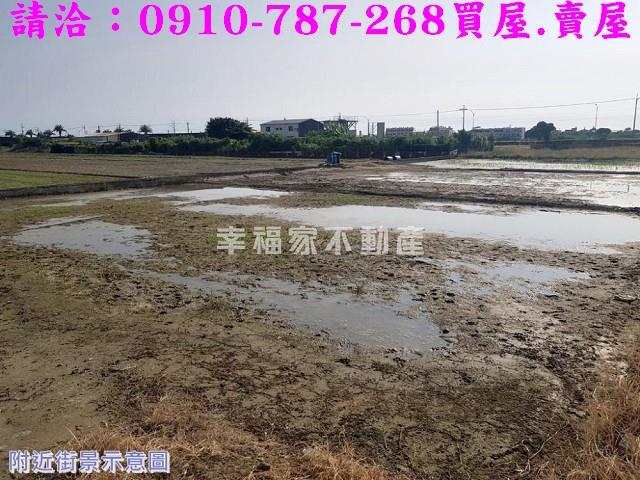 安南農地-13
