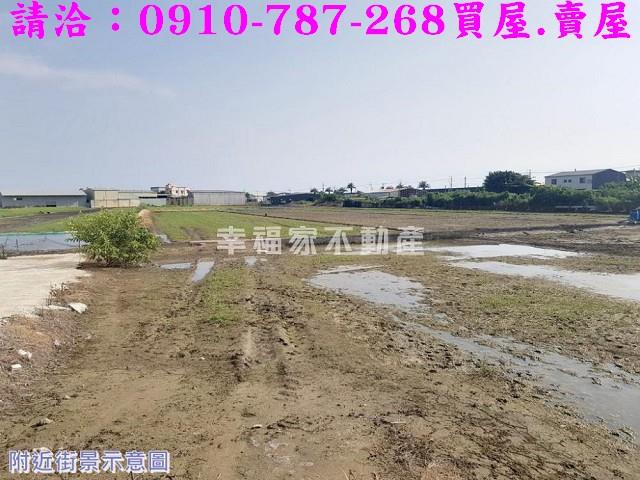 安南農地-14