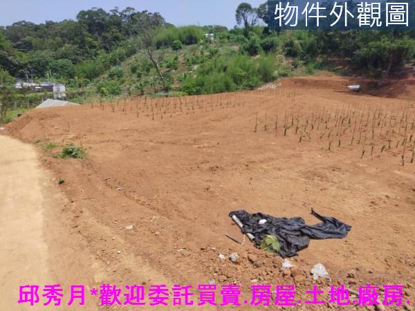 淡水農地-2
