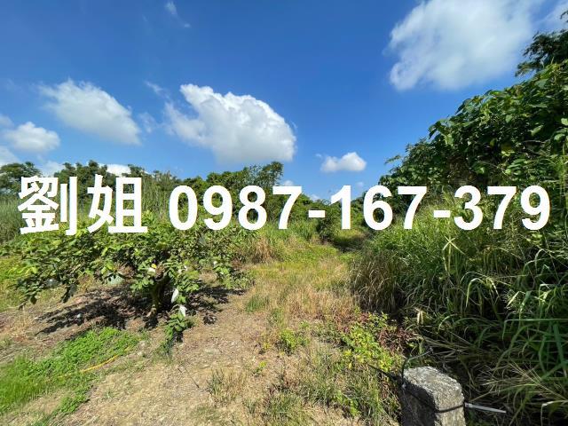 高雄仁武農地-1