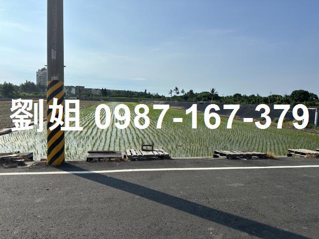 橋頭農地-1