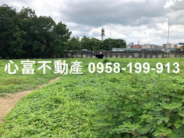 仁武農地-1