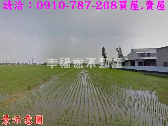 台南柳營農地-3