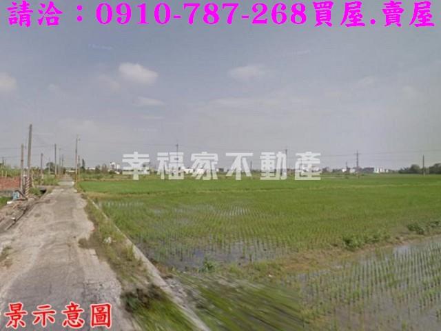 台南柳營農地-5