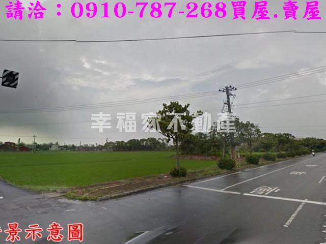 台南柳營農地-8