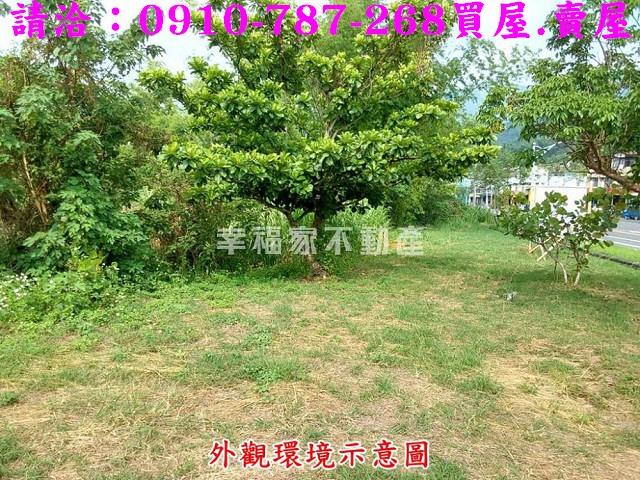 台南南化農地-8
