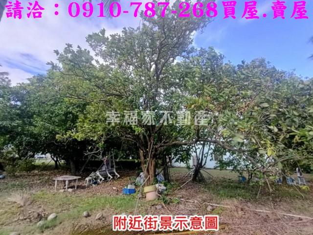 台南歸仁農地-11